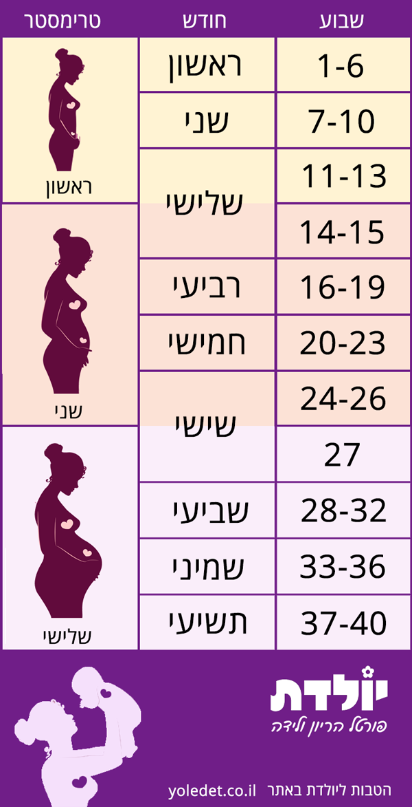 ×©×'×•×¢×•×ª ×